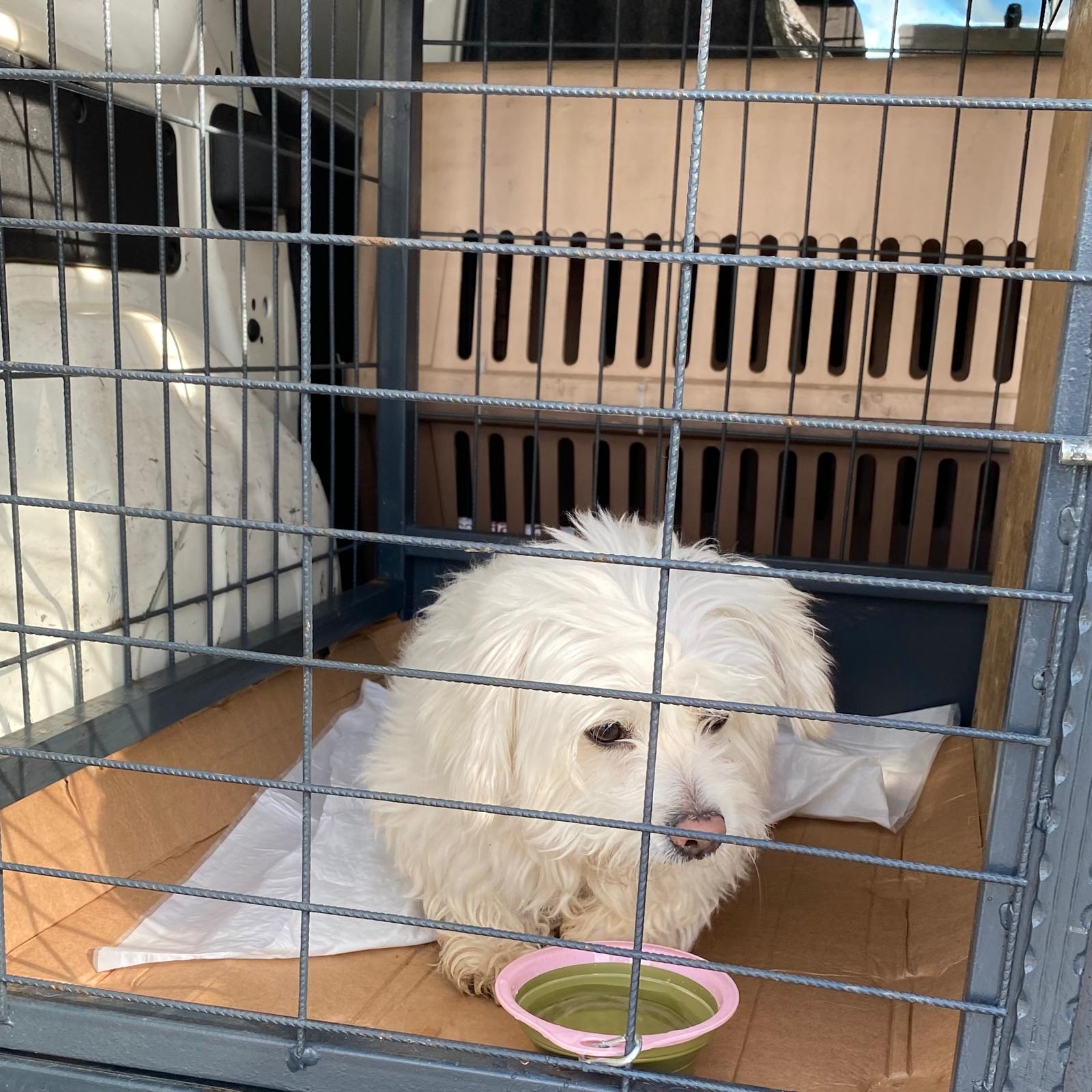 67e380ff-1adf-4c2b-ac54-ae8d010eed9c